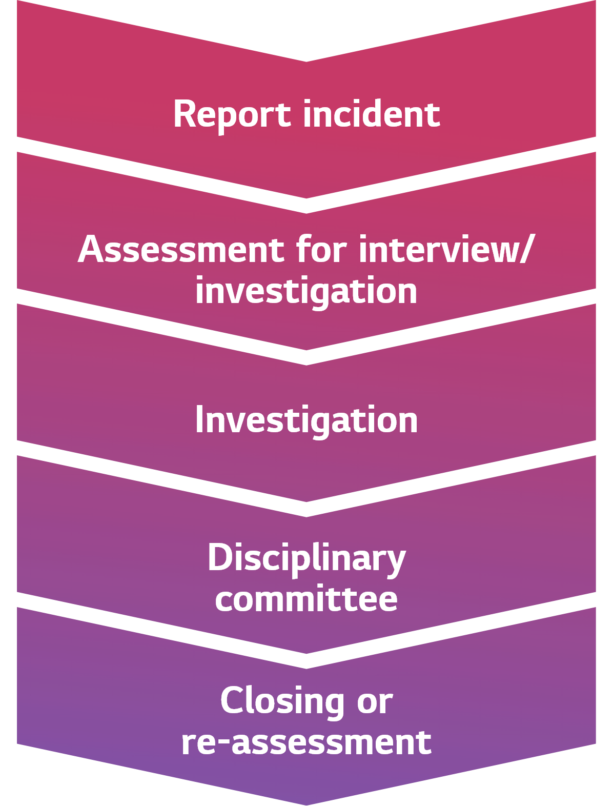 Report incident → Assessment for interview / investigation → Investigation → Disciplinary committee → Closing or re-assessment